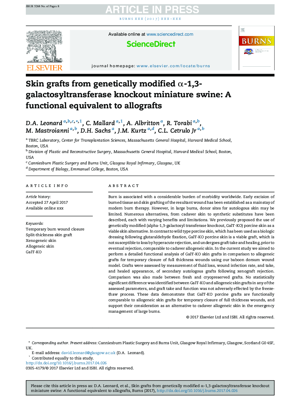 Skin grafts from genetically modified Î±-1,3-galactosyltransferase knockout miniature swine: A functional equivalent to allografts