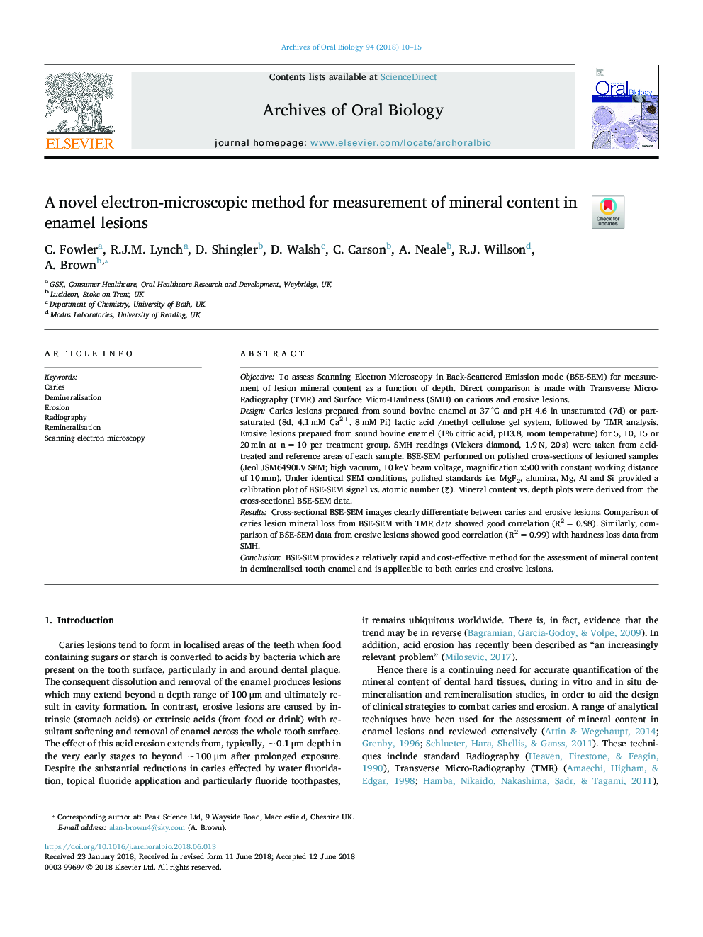 A novel electron-microscopic method for measurement of mineral content in enamel lesions