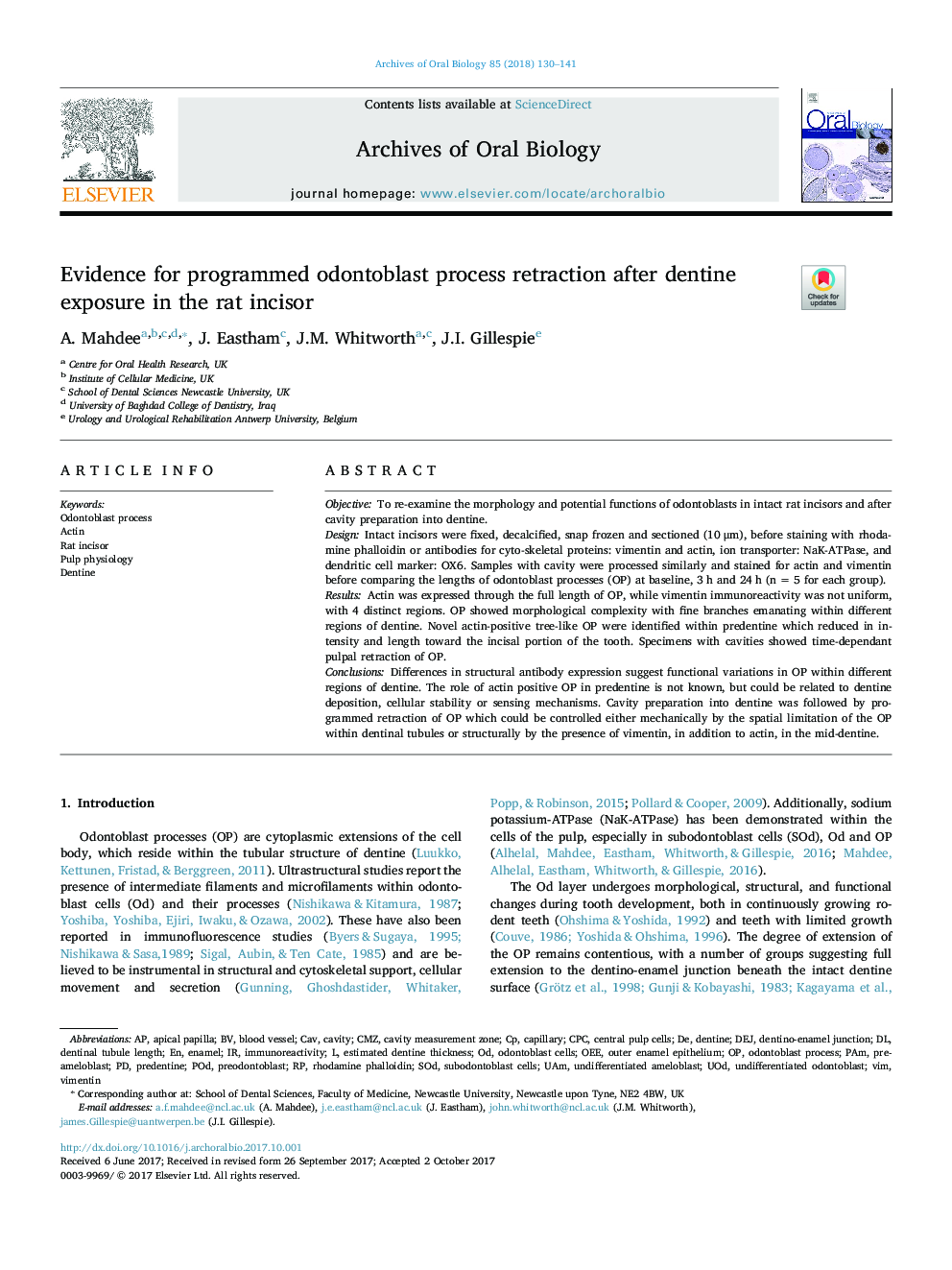 Evidence for programmed odontoblast process retraction after dentine exposure in the rat incisor