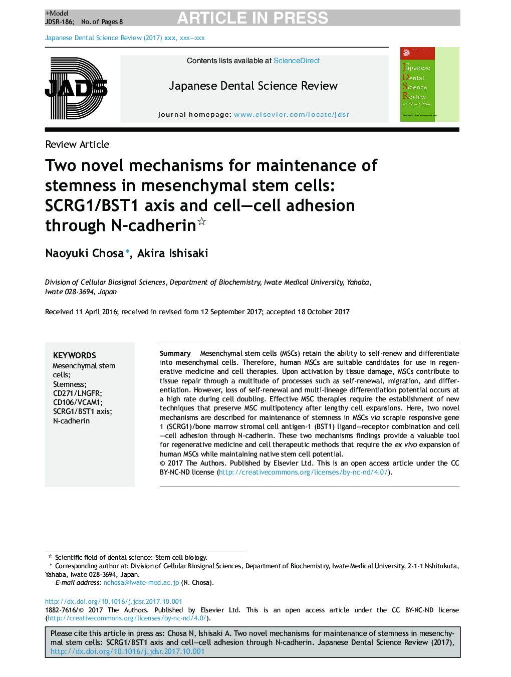 Two novel mechanisms for maintenance of stemness in mesenchymal stem cells: SCRG1/BST1 axis and cell-cell adhesion through N-cadherin