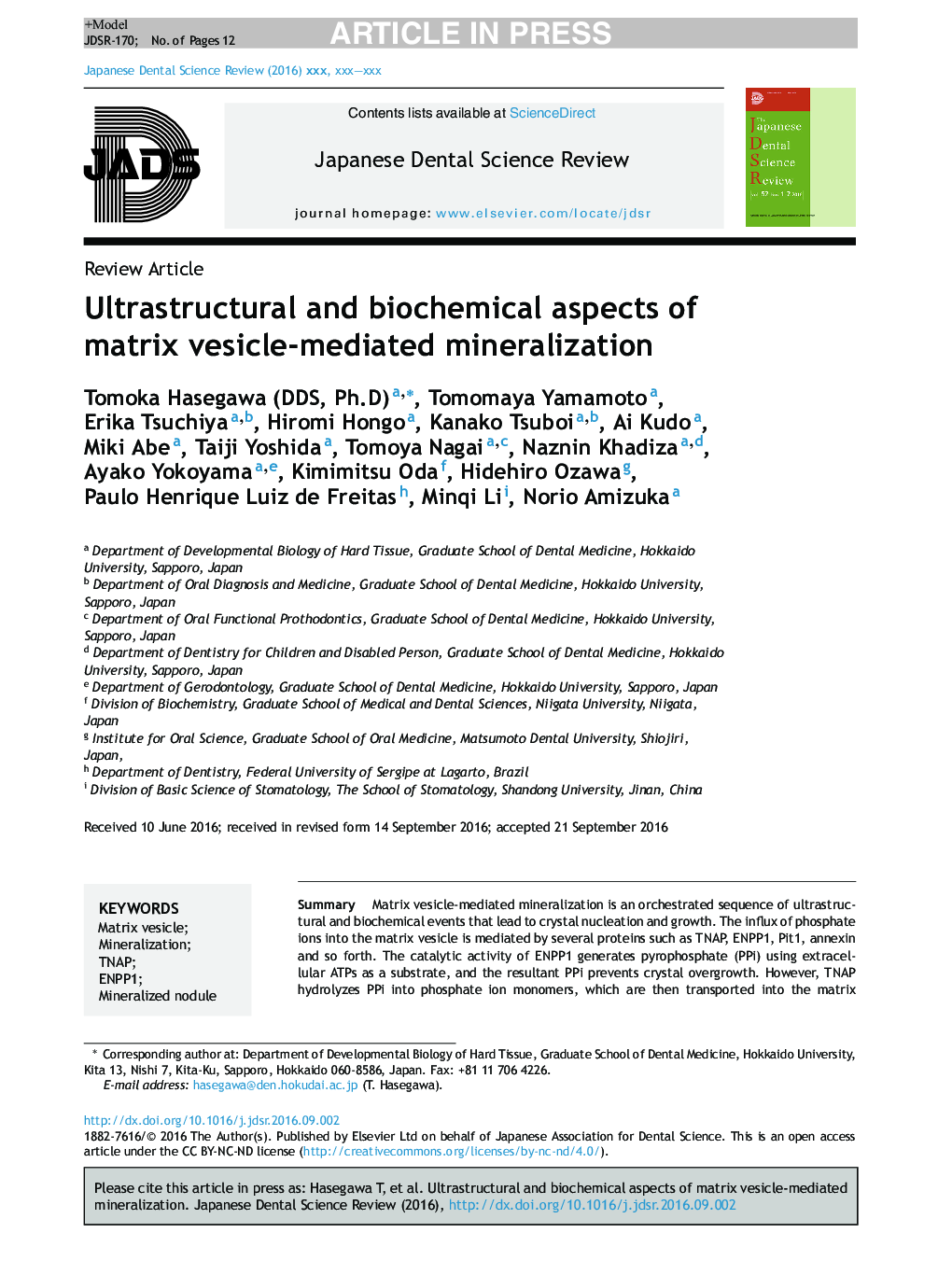 Ultrastructural and biochemical aspects of matrix vesicle-mediated mineralization