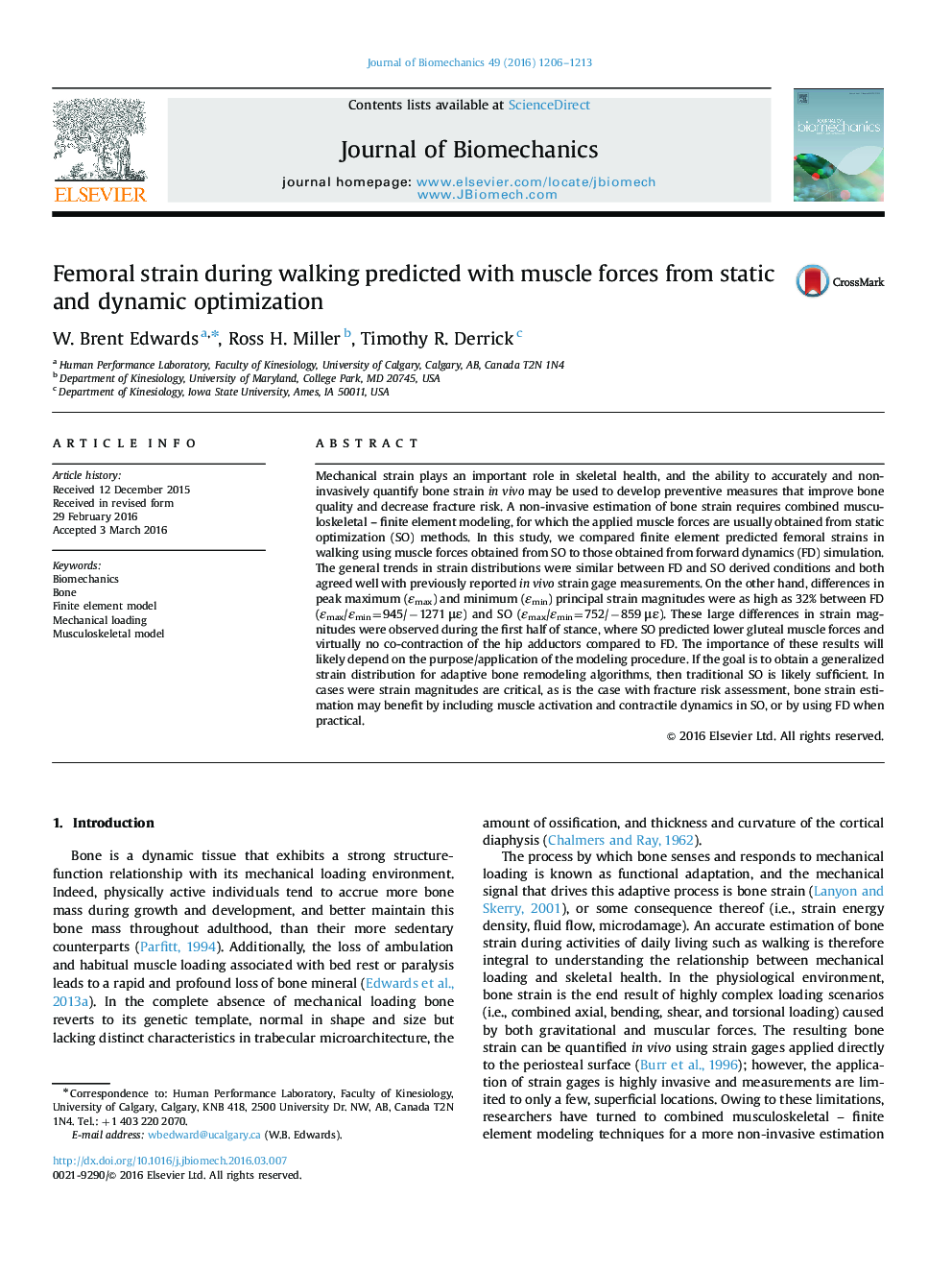 Femoral strain during walking predicted with muscle forces from static and dynamic optimization