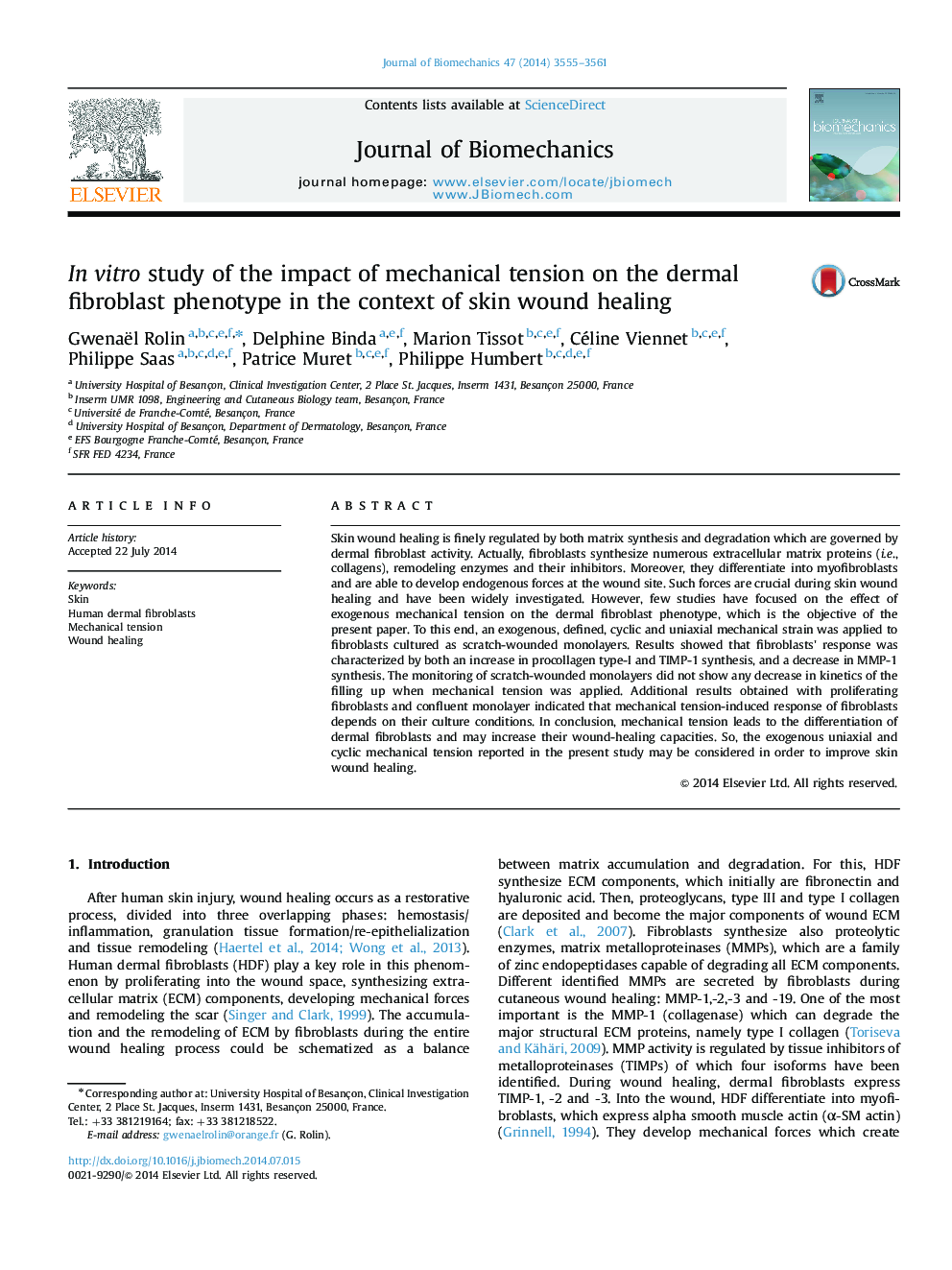 In vitro study of the impact of mechanical tension on the dermal fibroblast phenotype in the context of skin wound healing