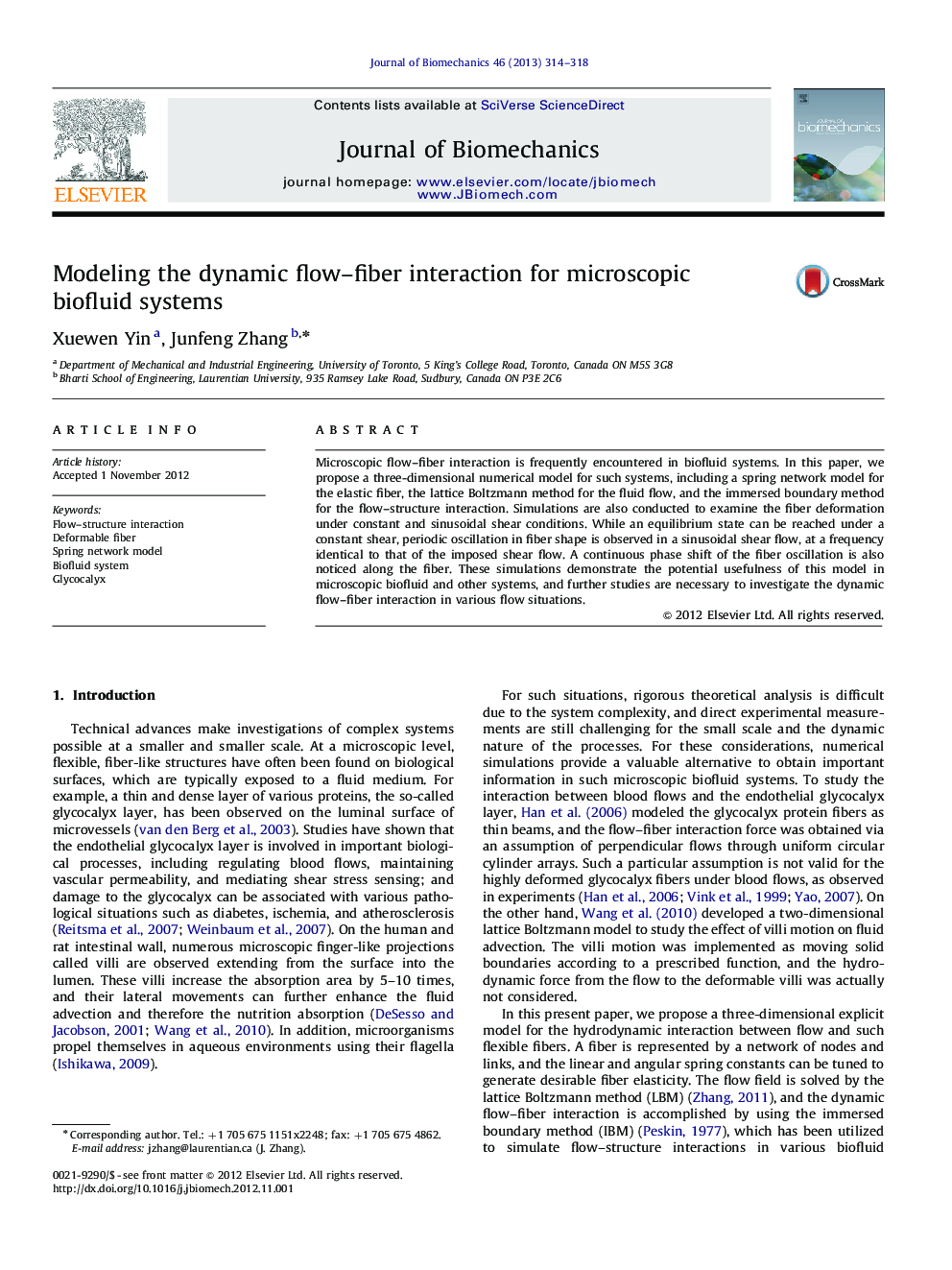 Modeling the dynamic flow–fiber interaction for microscopic biofluid systems