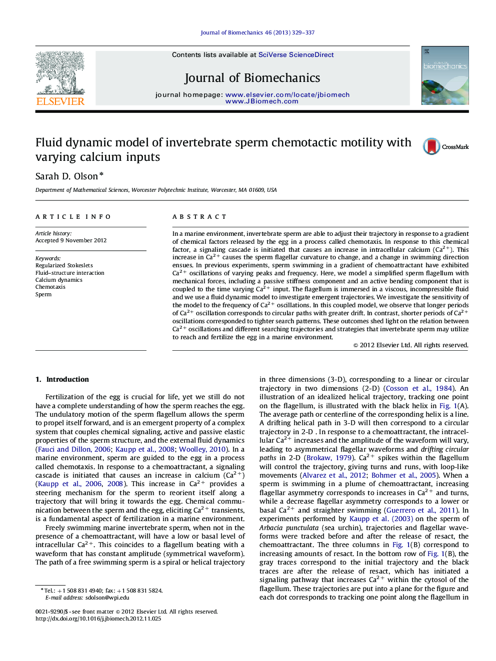 Fluid dynamic model of invertebrate sperm chemotactic motility with varying calcium inputs