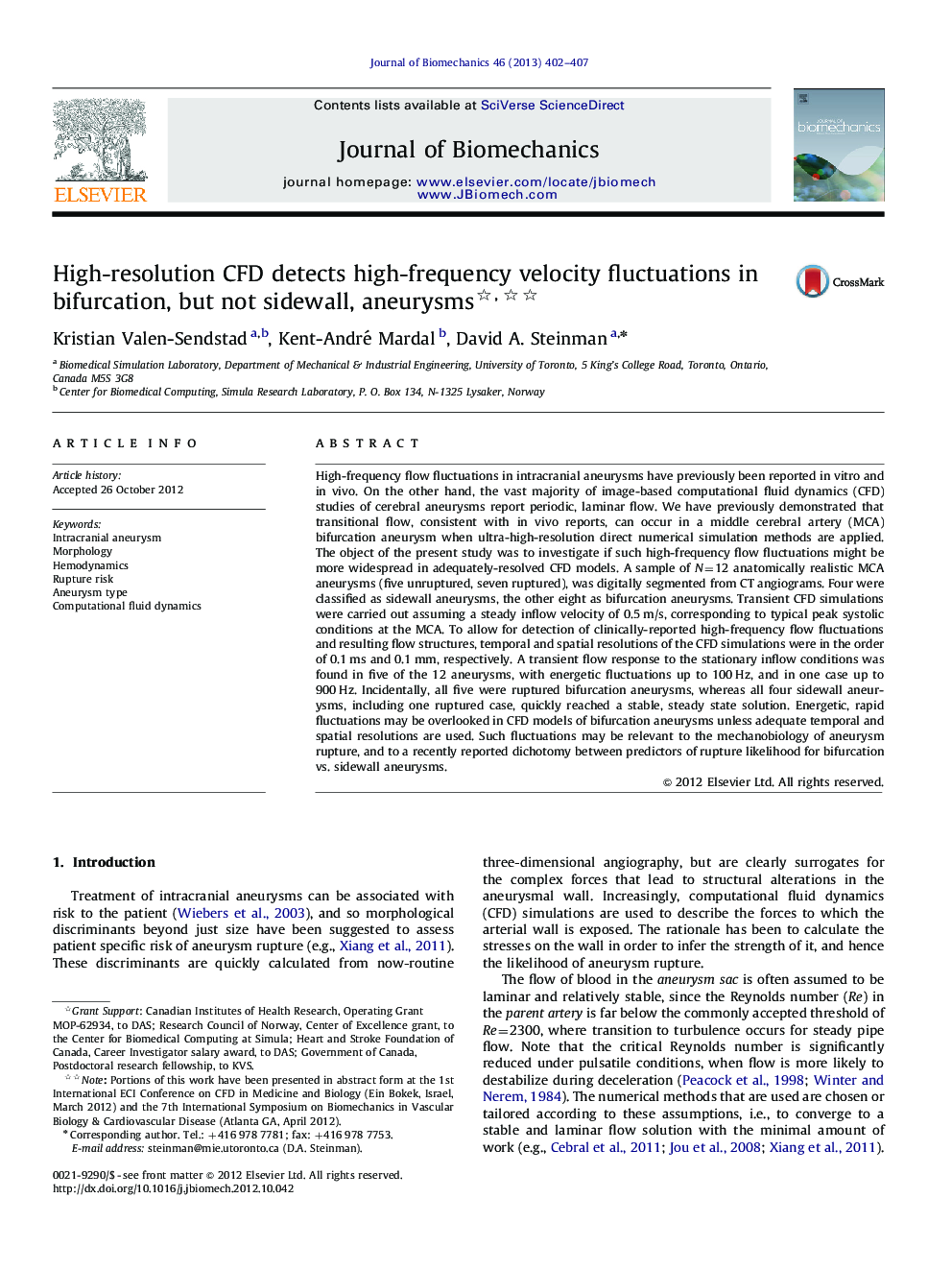 High-resolution CFD detects high-frequency velocity fluctuations in bifurcation, but not sidewall, aneurysms 