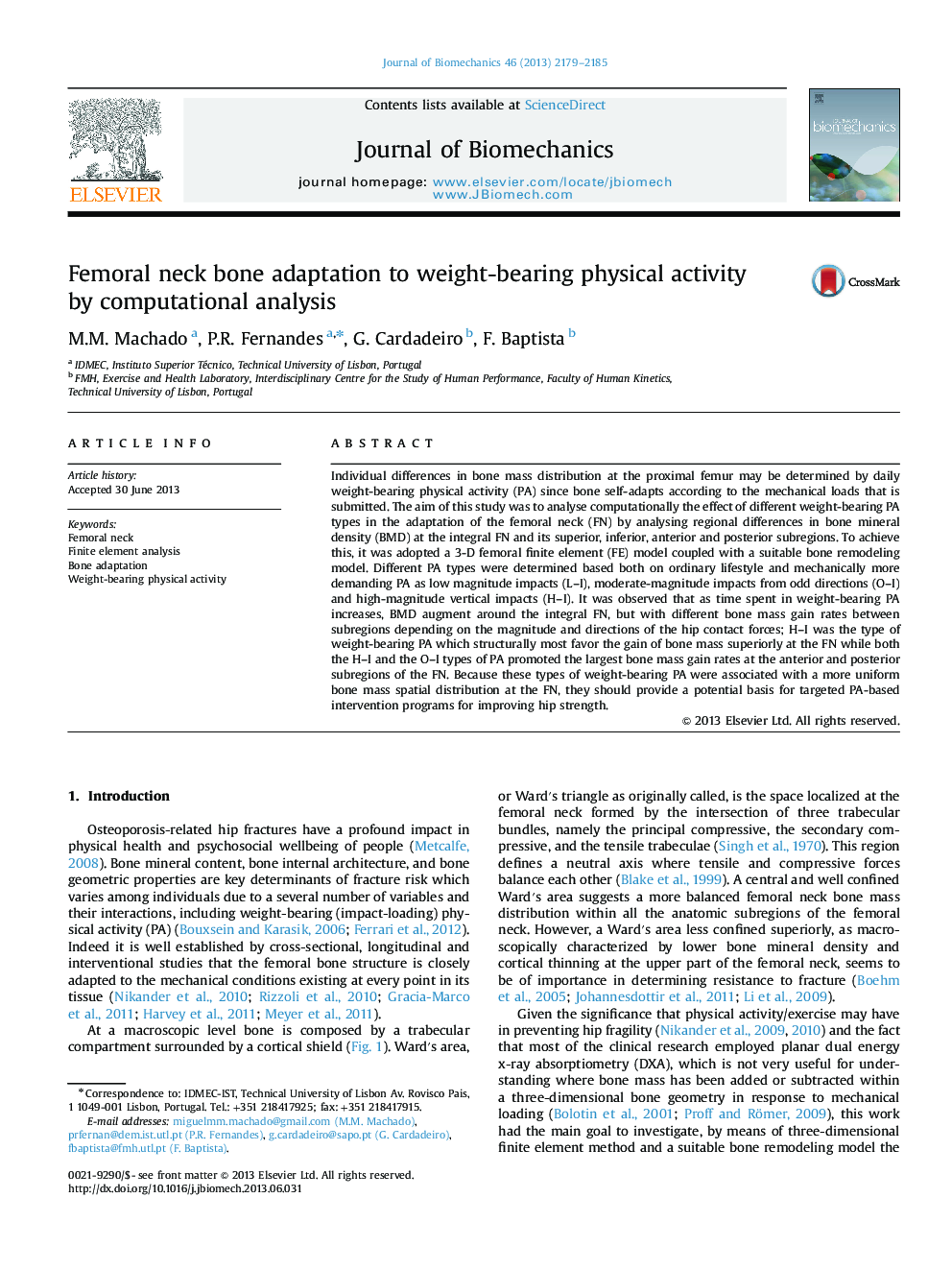 Femoral neck bone adaptation to weight-bearing physical activity by computational analysis