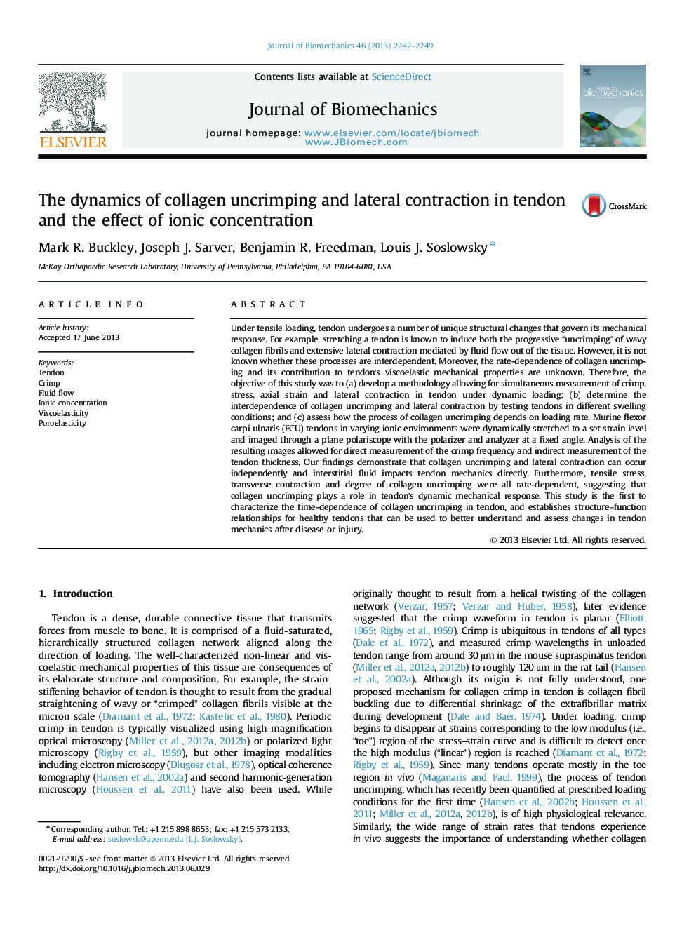The dynamics of collagen uncrimping and lateral contraction in tendon and the effect of ionic concentration