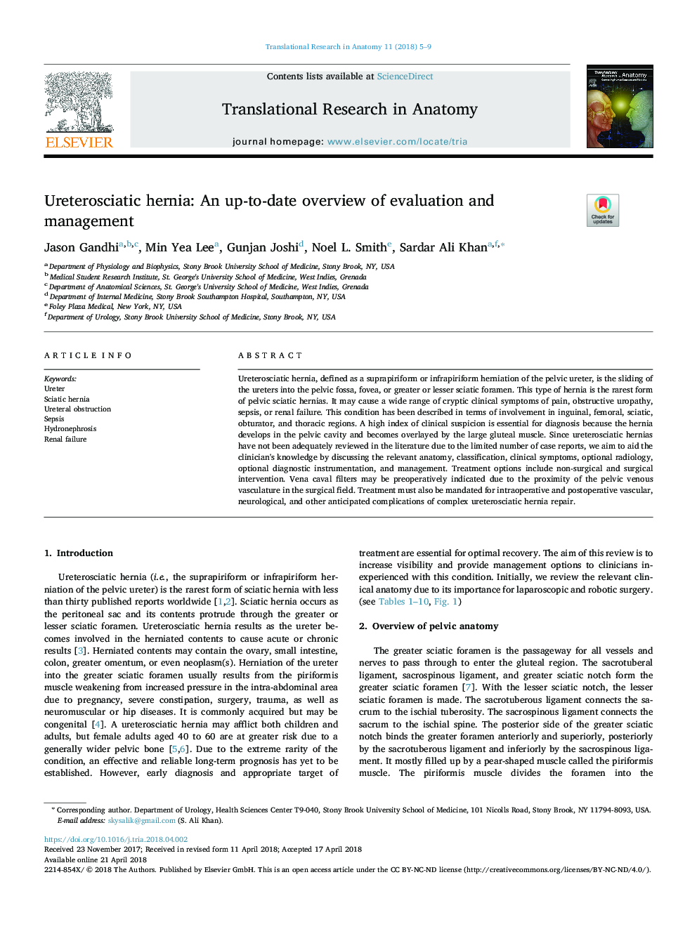 Ureterosciatic hernia: An up-to-date overview of evaluation and management