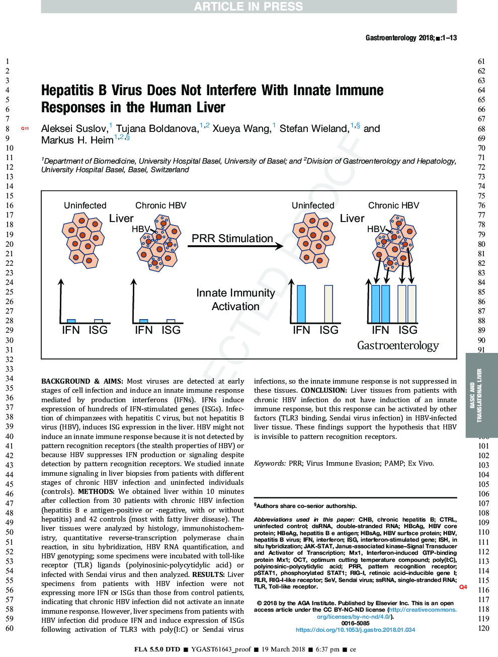 Hepatitis B Virus Does Not Interfere With Innate Immune Responses in the Human Liver