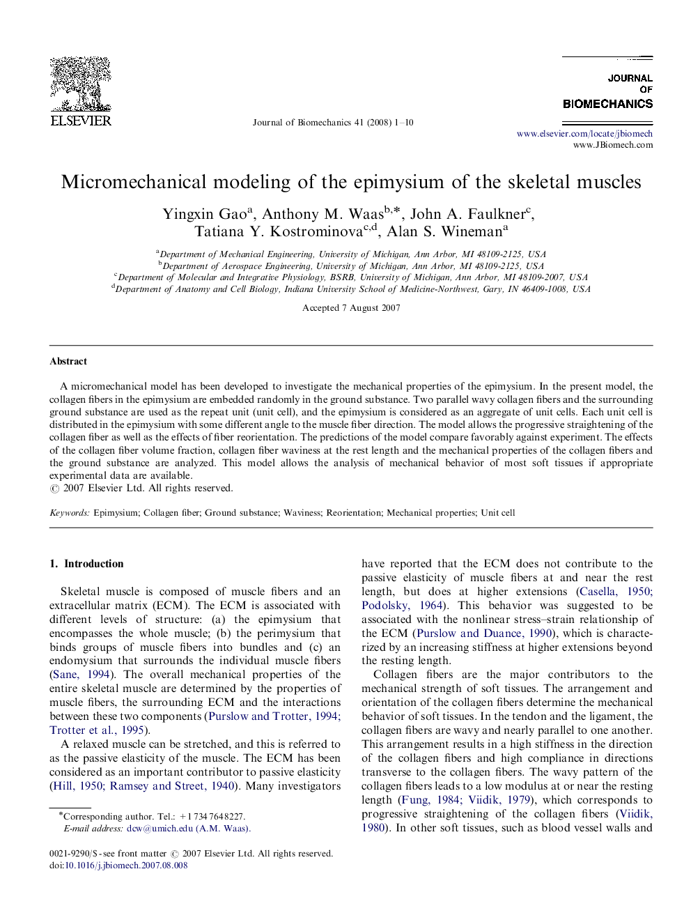 Micromechanical modeling of the epimysium of the skeletal muscles