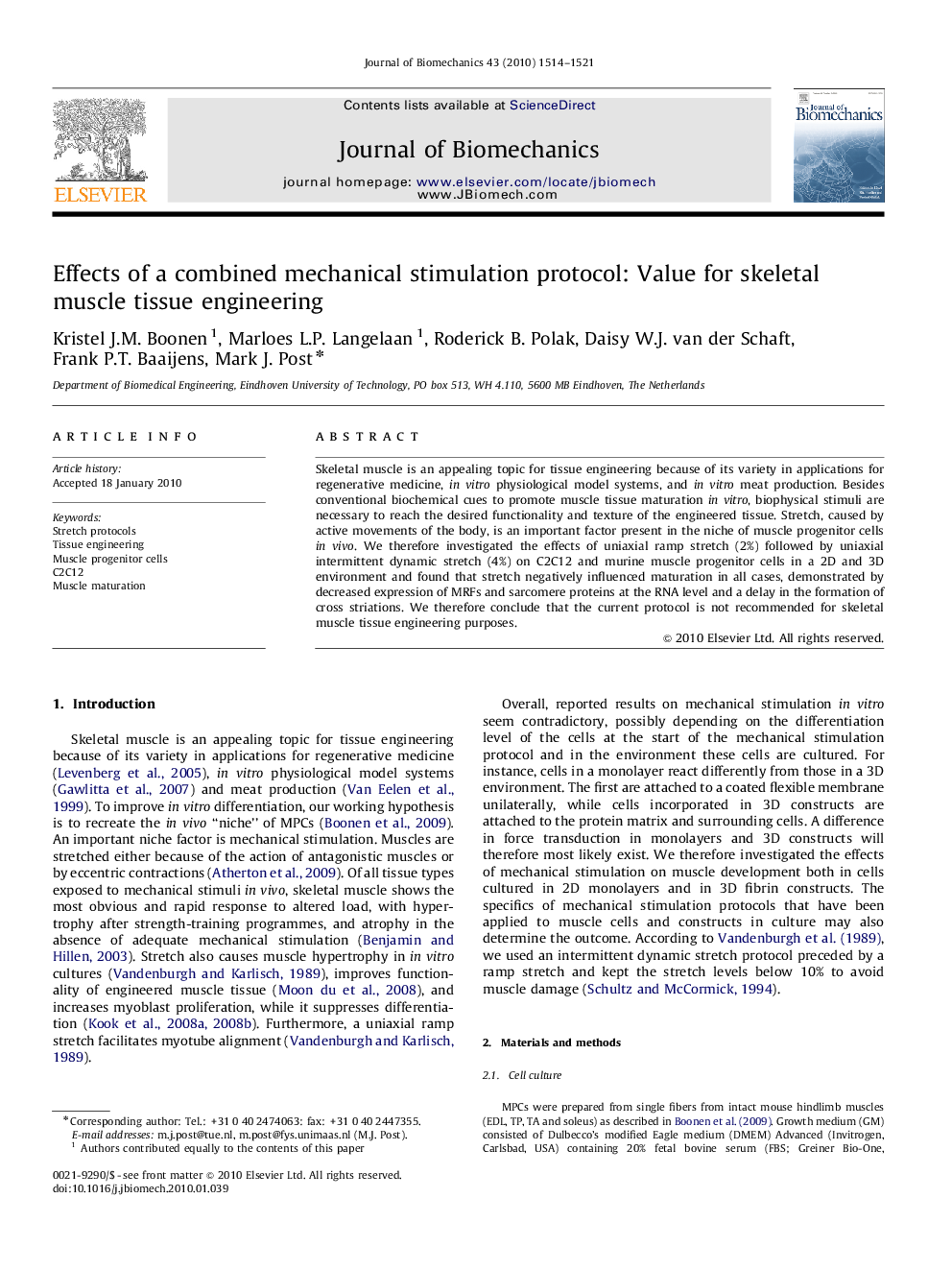 Effects of a combined mechanical stimulation protocol: Value for skeletal muscle tissue engineering