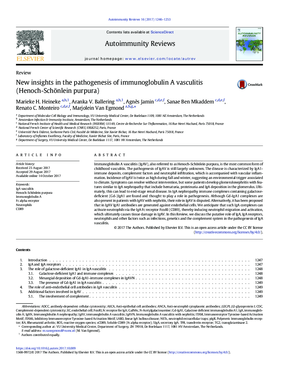 New insights in the pathogenesis of immunoglobulin A vasculitis (Henoch-Schönlein purpura)