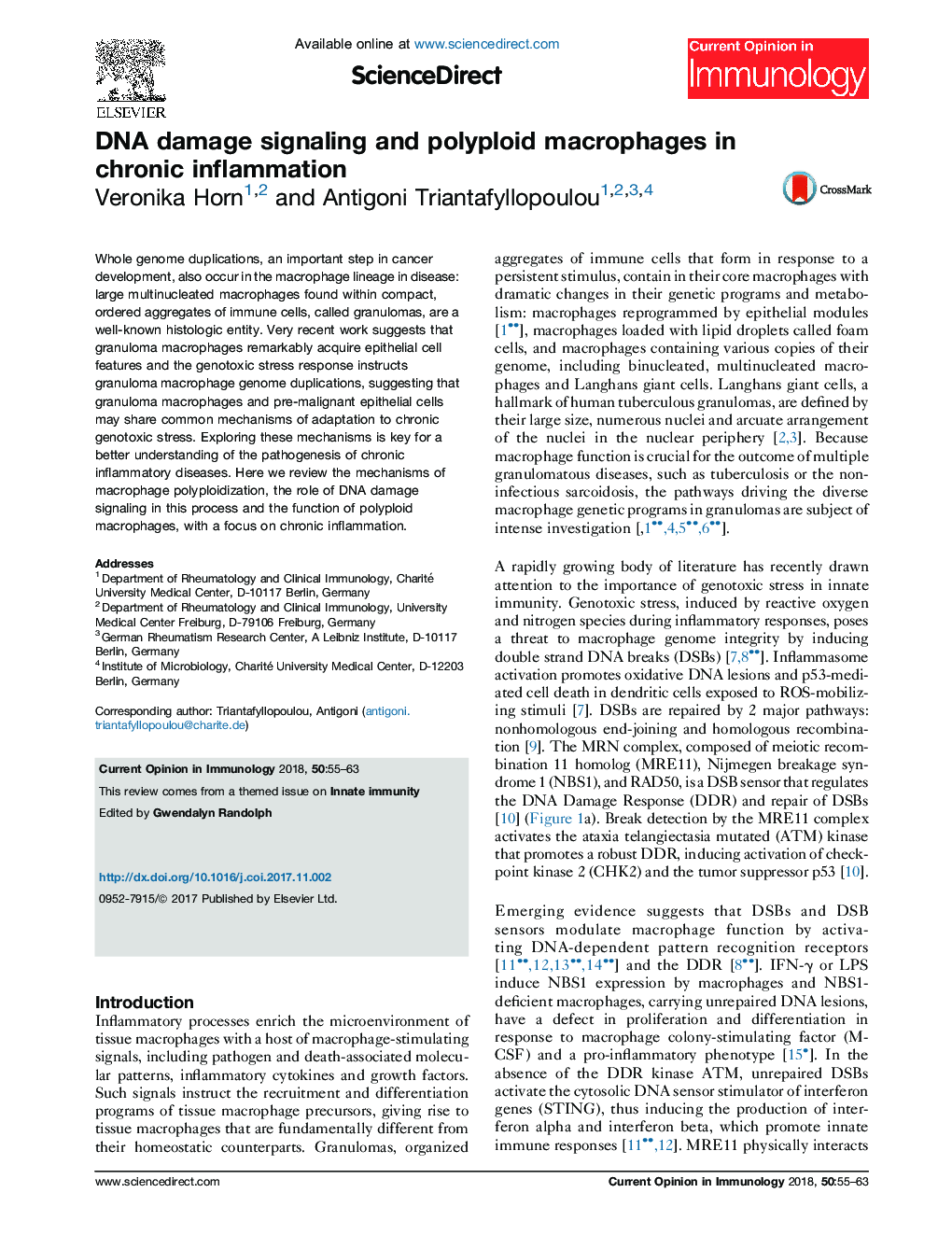 DNA damage signaling and polyploid macrophages in chronic inflammation