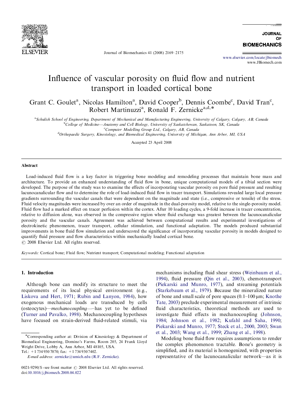 Influence of vascular porosity on fluid flow and nutrient transport in loaded cortical bone