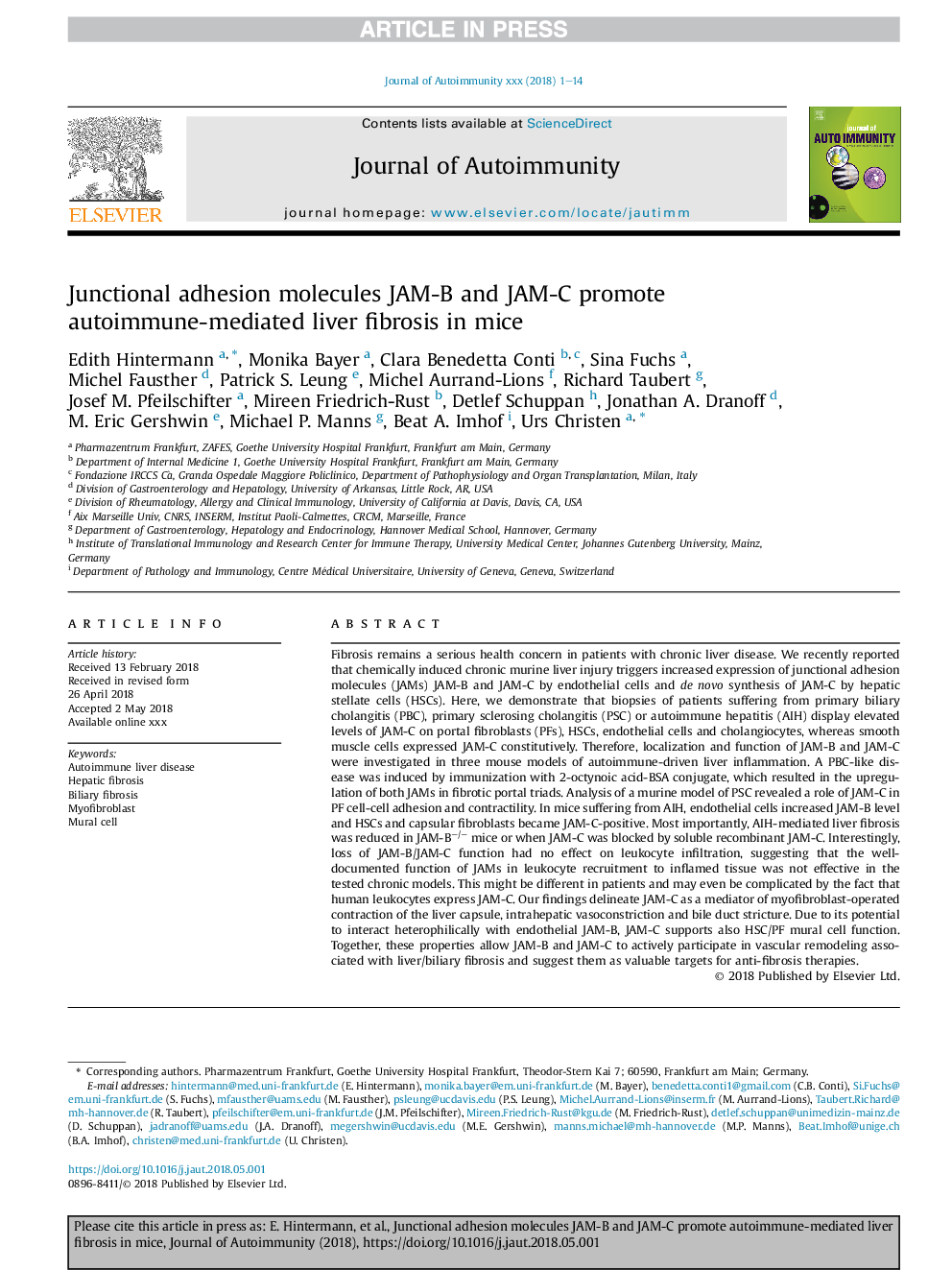 Junctional adhesion molecules JAM-B and JAM-C promote autoimmune-mediated liver fibrosis in mice