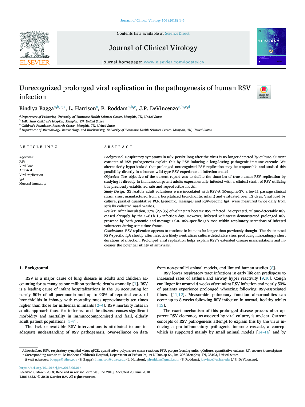 Unrecognized prolonged viral replication in the pathogenesis of human RSV infection