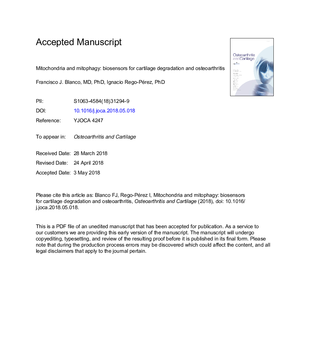 Mitochondria and mitophagy: biosensors for cartilage degradation and osteoarthritis