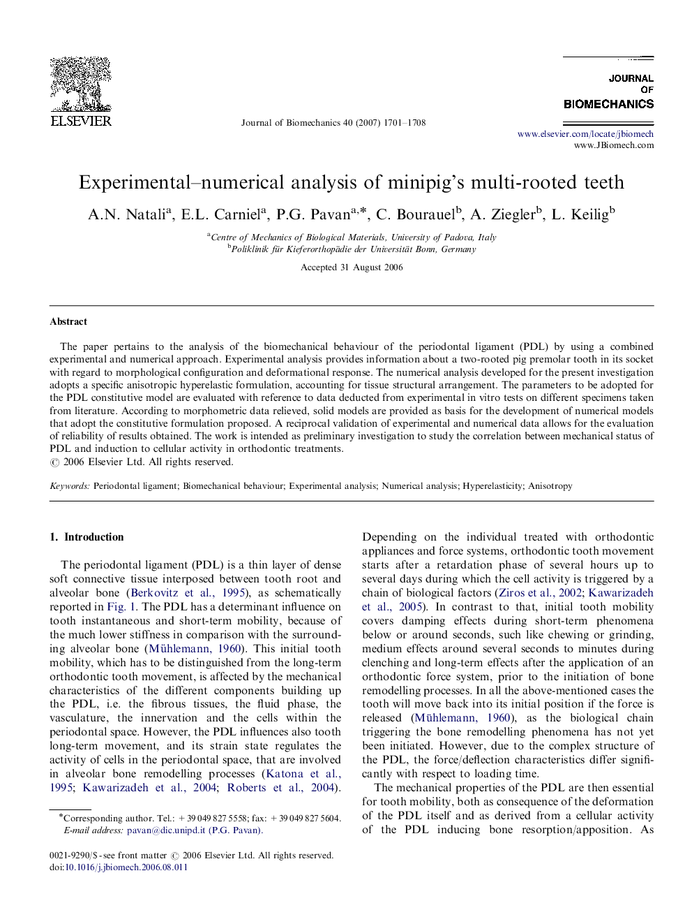 Experimental–numerical analysis of minipig's multi-rooted teeth