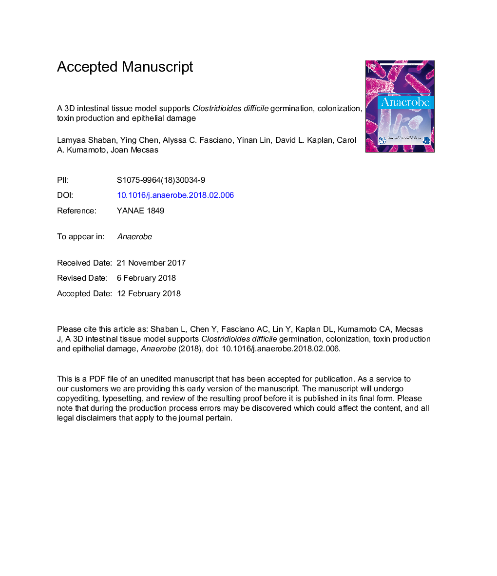 A 3D intestinal tissue model supports Clostridioides difficile germination, colonization, toxin production and epithelial damage