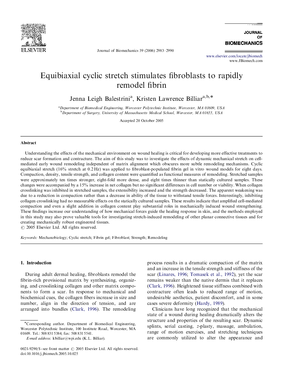 Equibiaxial cyclic stretch stimulates fibroblasts to rapidly remodel fibrin