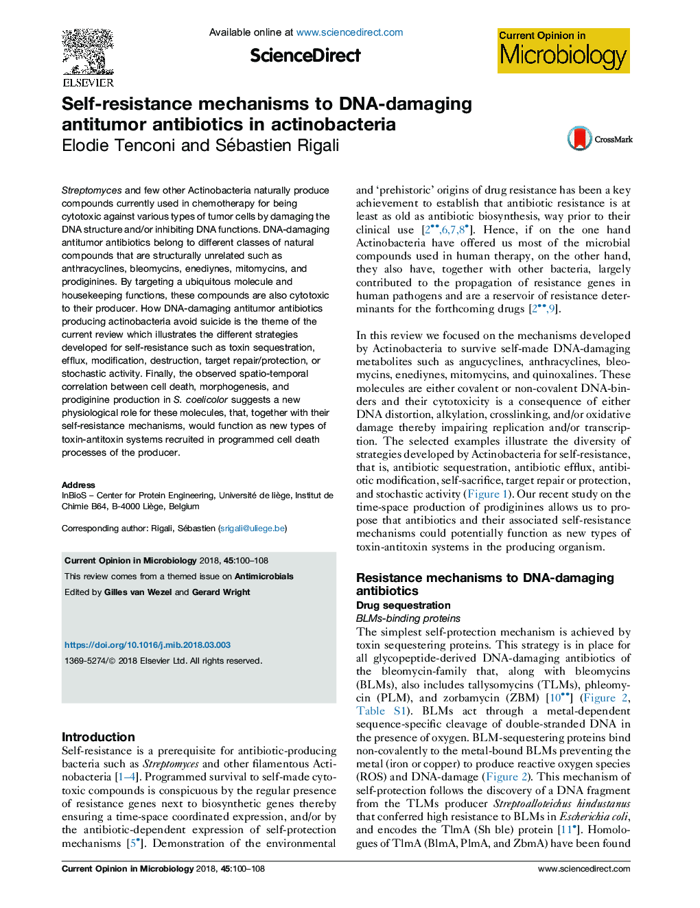 Self-resistance mechanisms to DNA-damaging antitumor antibiotics in actinobacteria