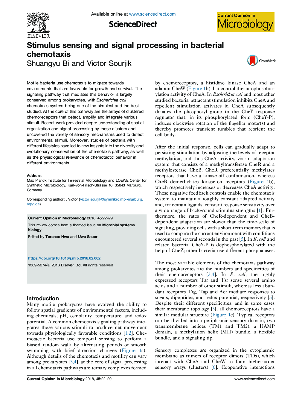 Stimulus sensing and signal processing in bacterial chemotaxis