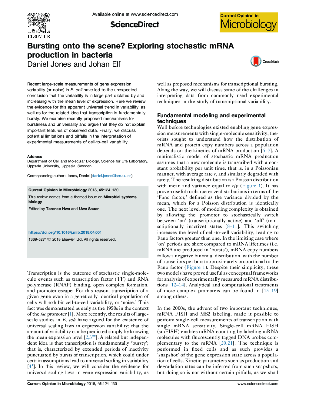 Bursting onto the scene? Exploring stochastic mRNA production in bacteria