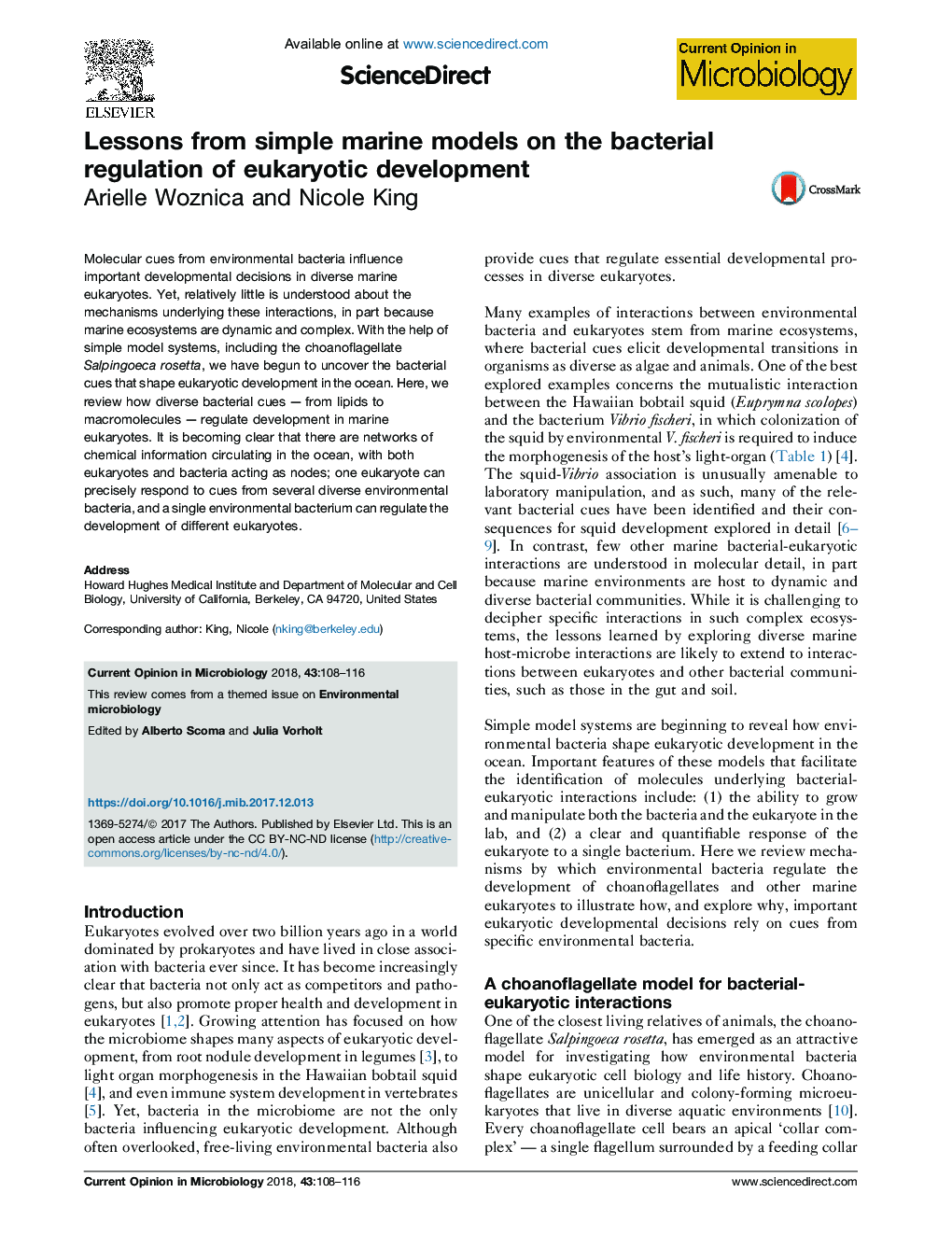 Lessons from simple marine models on the bacterial regulation of eukaryotic development