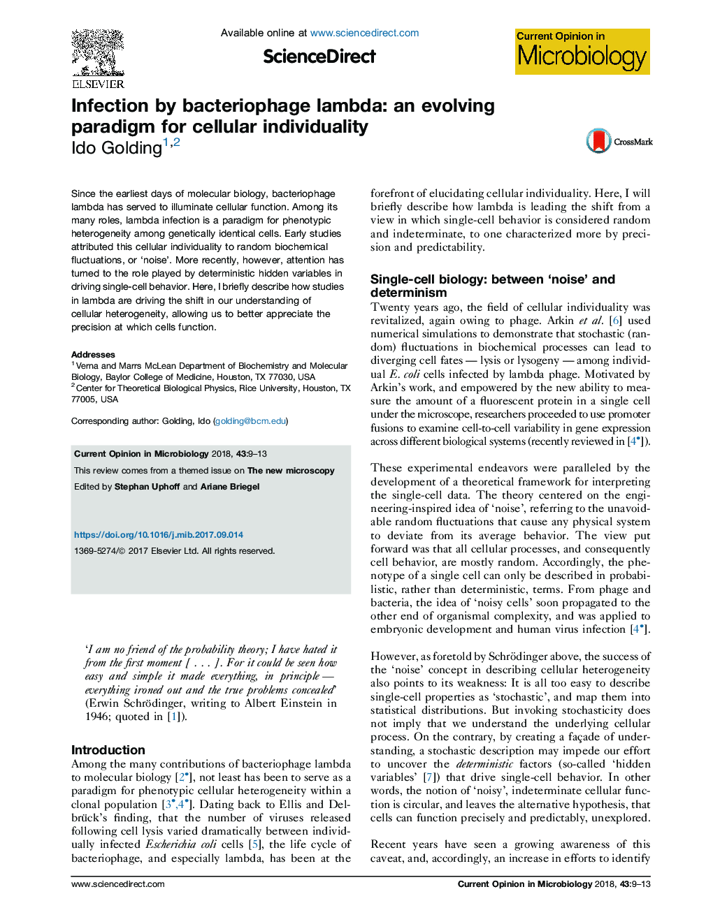 Infection by bacteriophage lambda: an evolving paradigm for cellular individuality