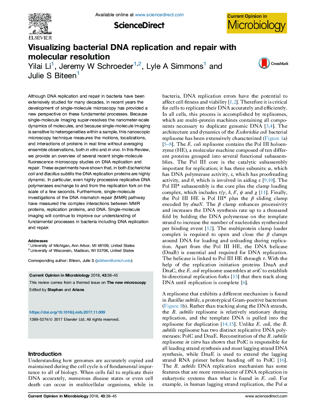 Visualizing bacterial DNA replication and repair with molecular resolution