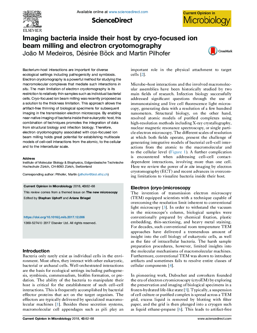 Imaging bacteria inside their host by cryo-focused ion beam milling and electron cryotomography