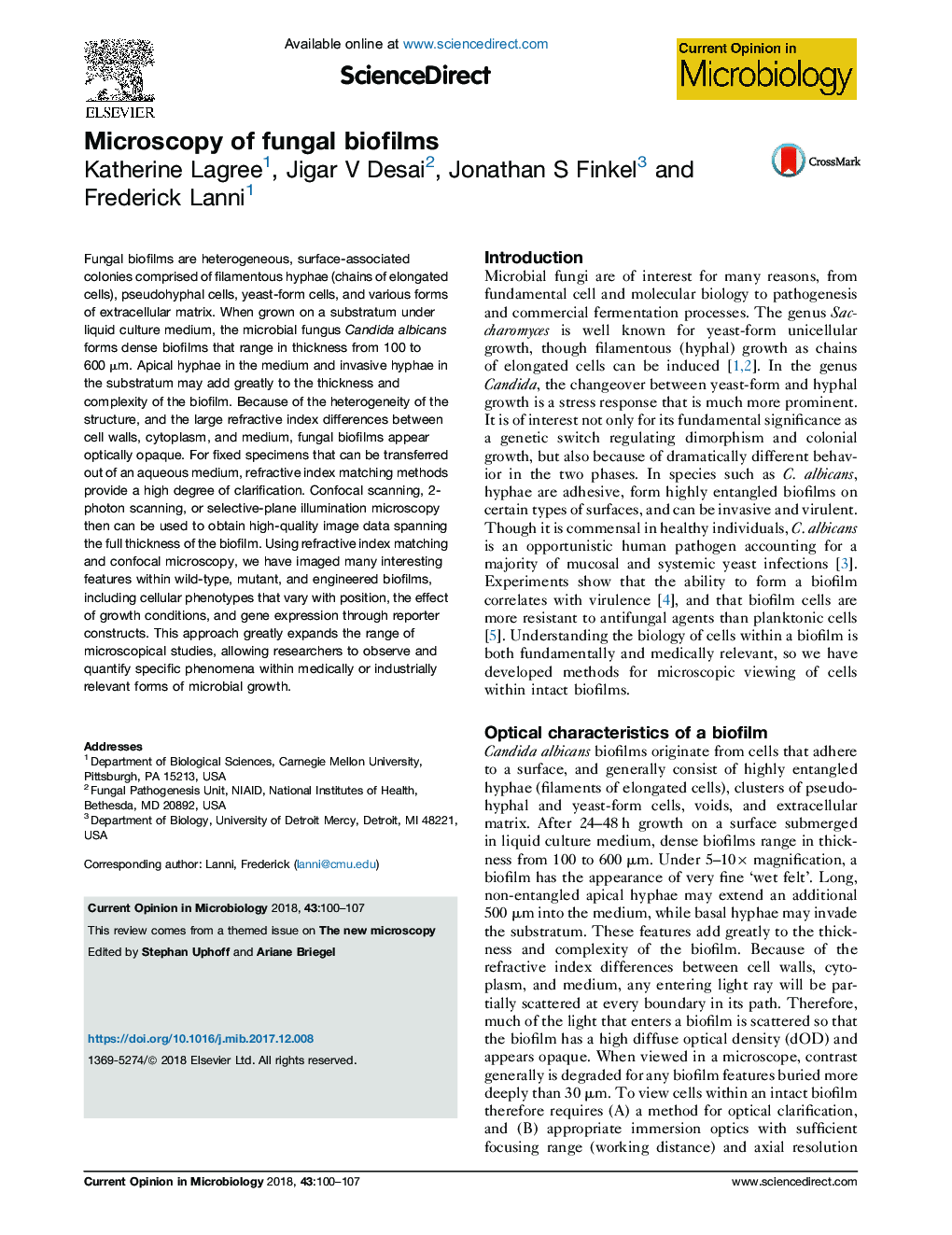 Microscopy of fungal biofilms