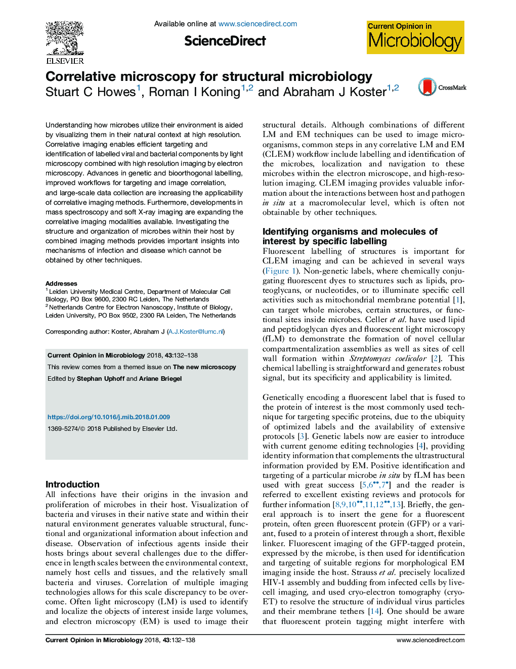 Correlative microscopy for structural microbiology