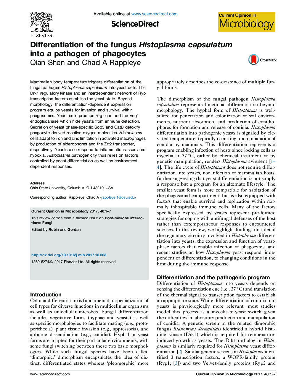 Differentiation of the fungus Histoplasma capsulatum into a pathogen of phagocytes