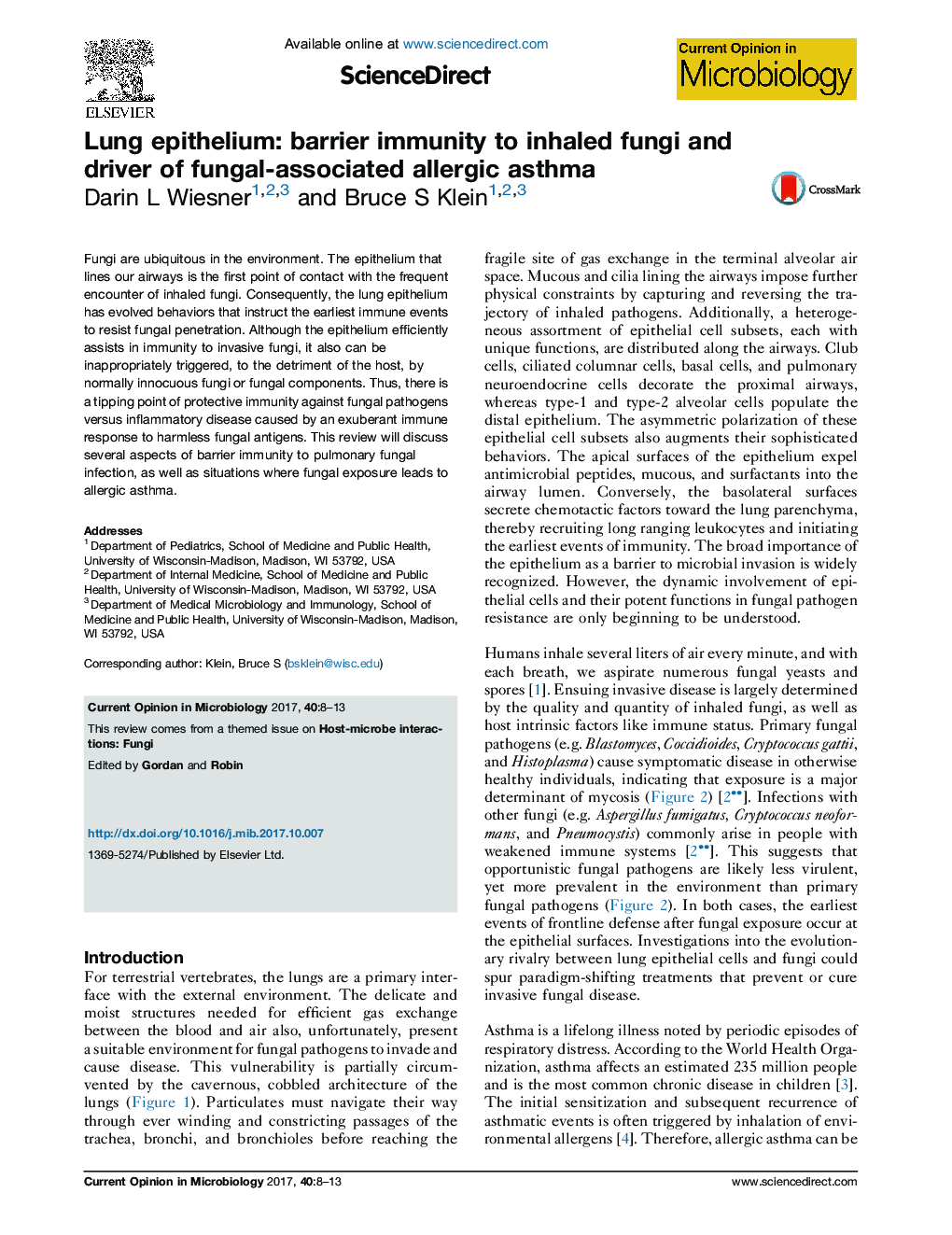 Lung epithelium: barrier immunity to inhaled fungi and driver of fungal-associated allergic asthma