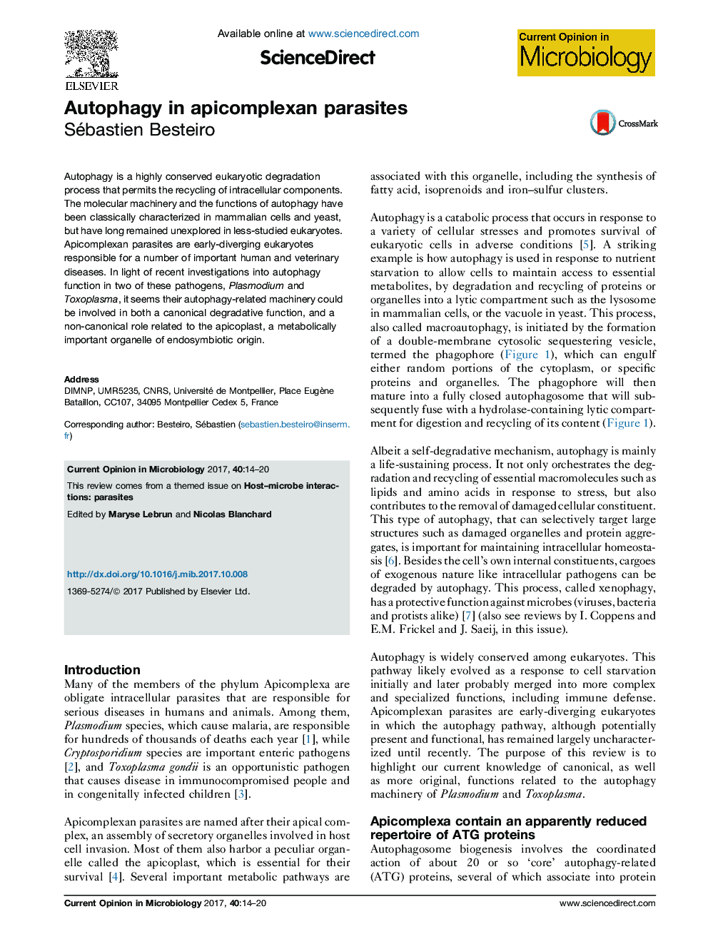 Autophagy in apicomplexan parasites