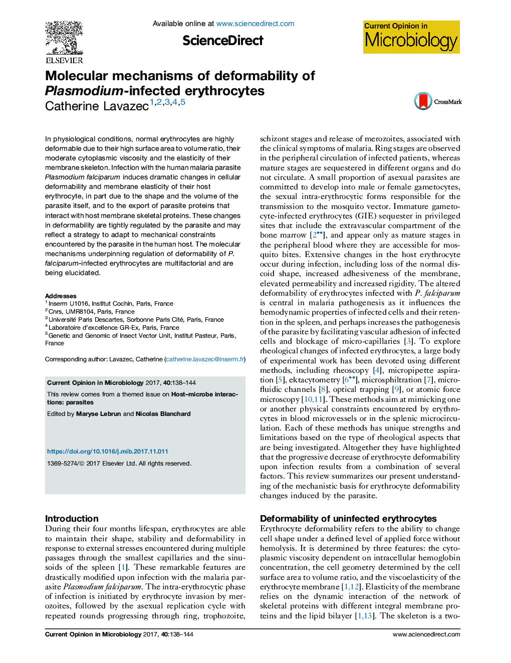 Molecular mechanisms of deformability of Plasmodium-infected erythrocytes