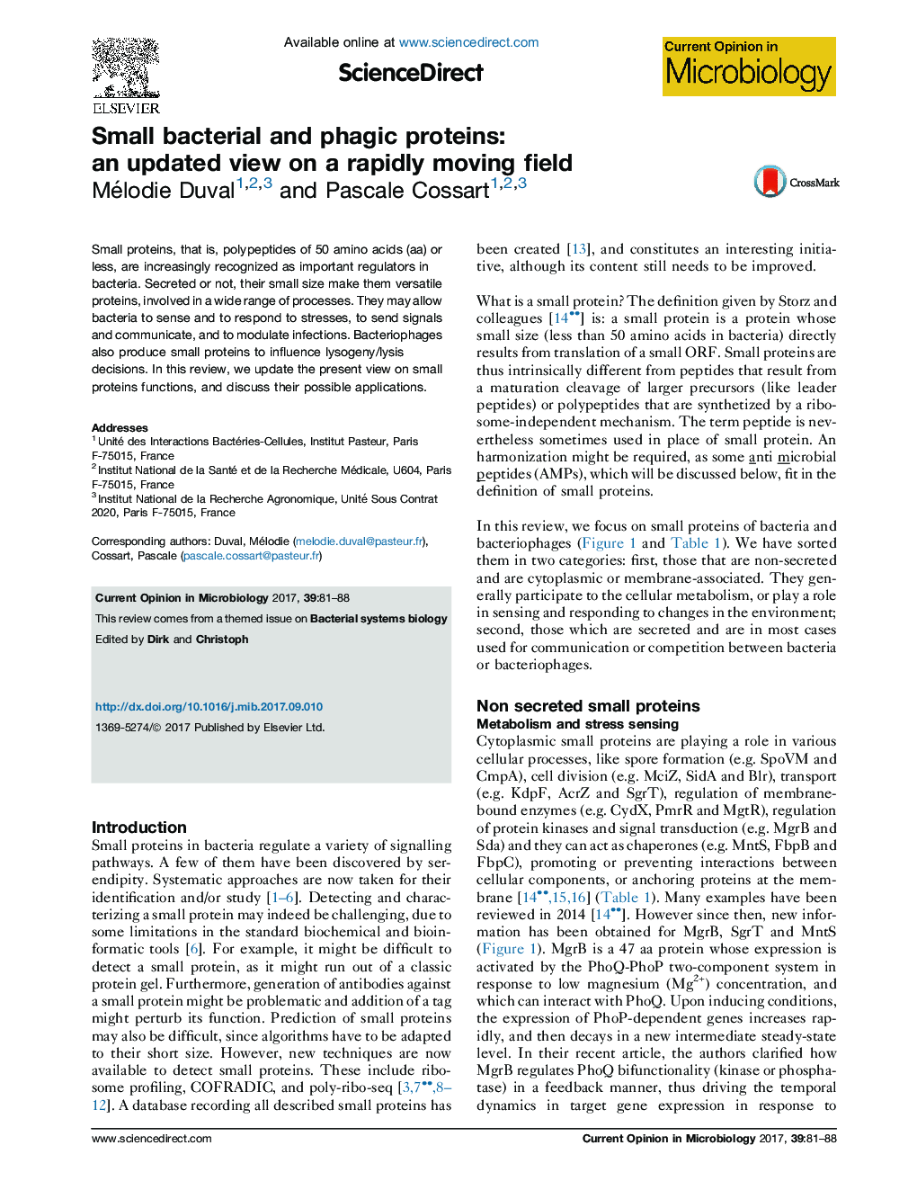 Small bacterial and phagic proteins: an updated view on a rapidly moving field