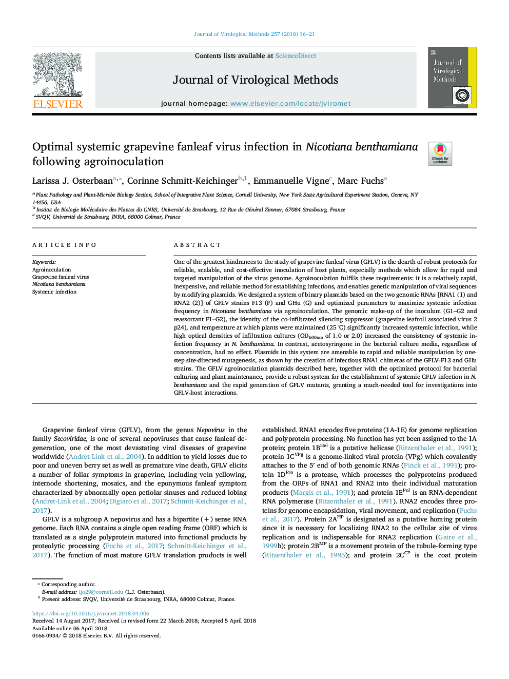 Optimal systemic grapevine fanleaf virus infection in Nicotiana benthamiana following agroinoculation