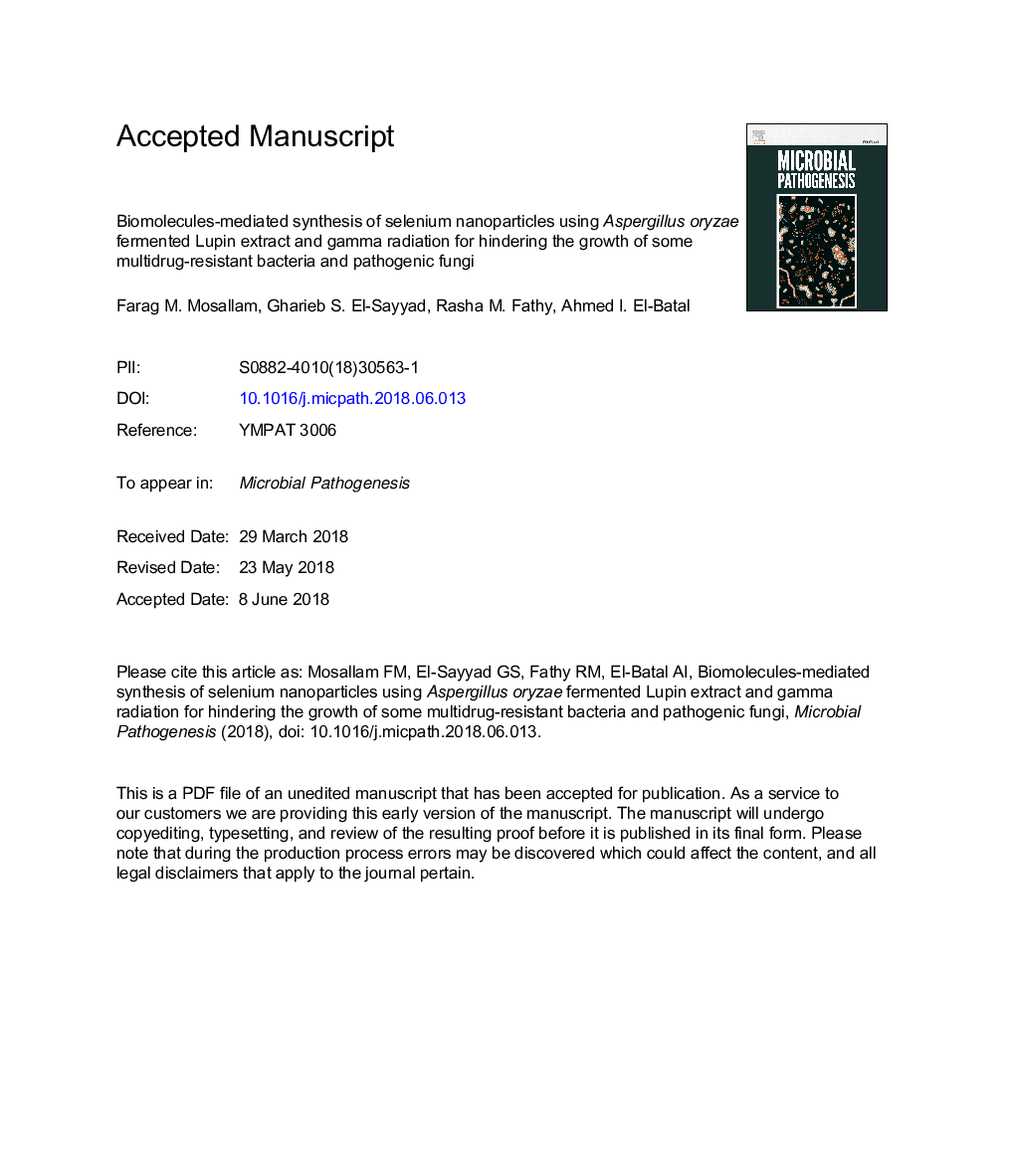 Biomolecules-mediated synthesis of selenium nanoparticles using Aspergillus oryzae fermented Lupin extract and gamma radiation for hindering the growth of some multidrug-resistant bacteria and pathogenic fungi