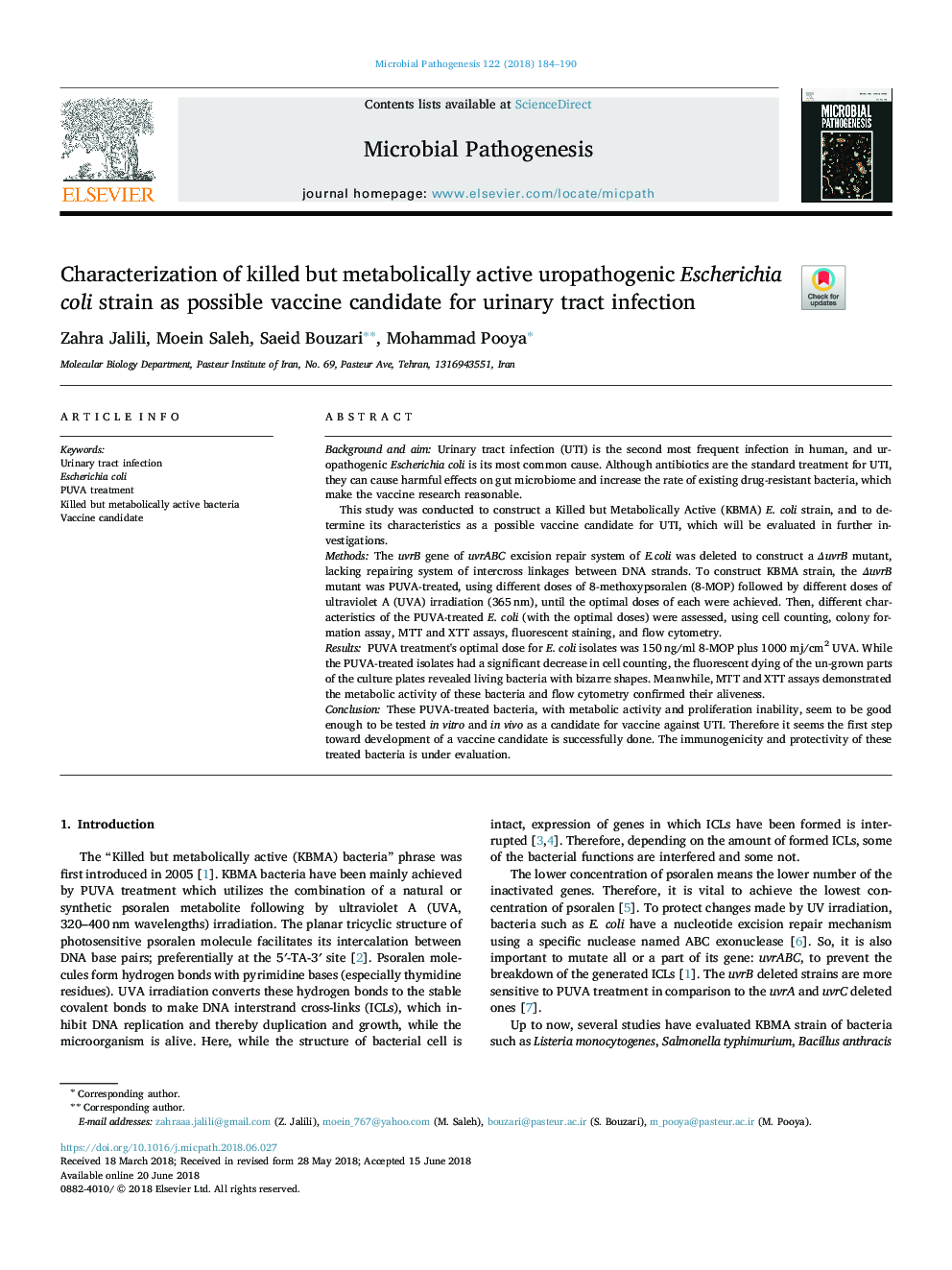 Characterization of killed but metabolically active uropathogenic Escherichia coli strain as possible vaccine candidate for urinary tract infection