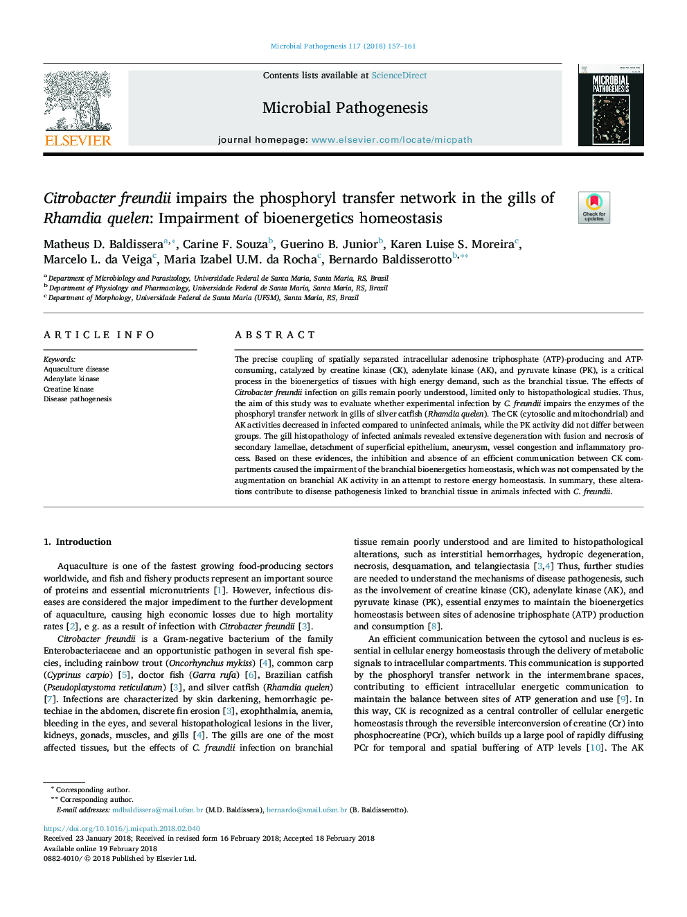 Citrobacter freundii impairs the phosphoryl transfer network in the gills of Rhamdia quelen: Impairment of bioenergetics homeostasis