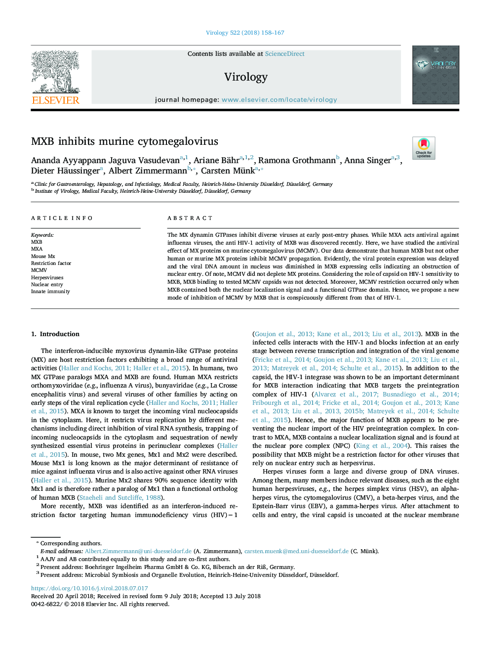 MXB inhibits murine cytomegalovirus