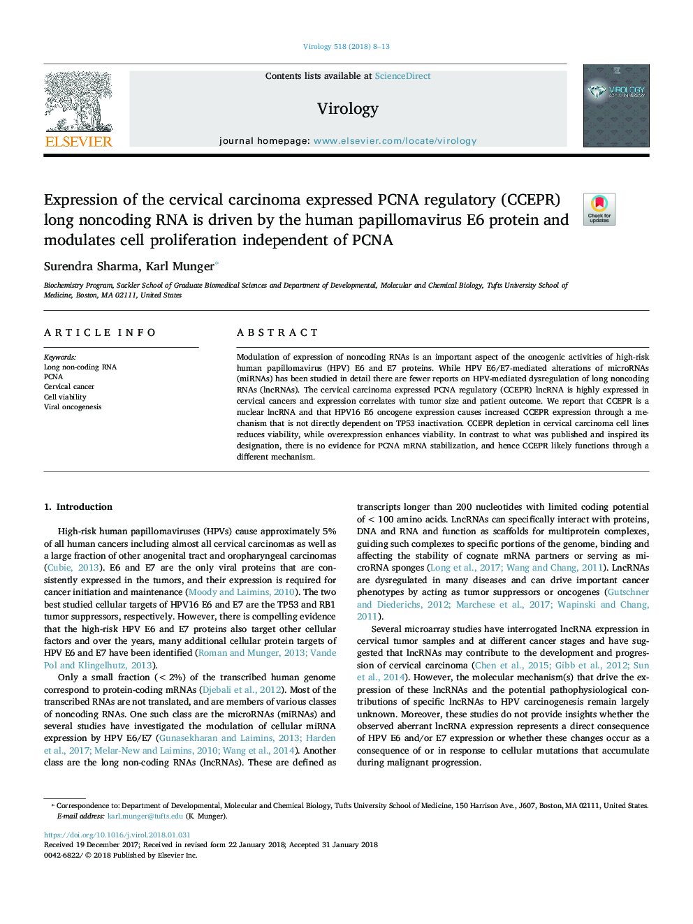 Expression of the cervical carcinoma expressed PCNA regulatory (CCEPR) long noncoding RNA is driven by the human papillomavirus E6 protein and modulates cell proliferation independent of PCNA