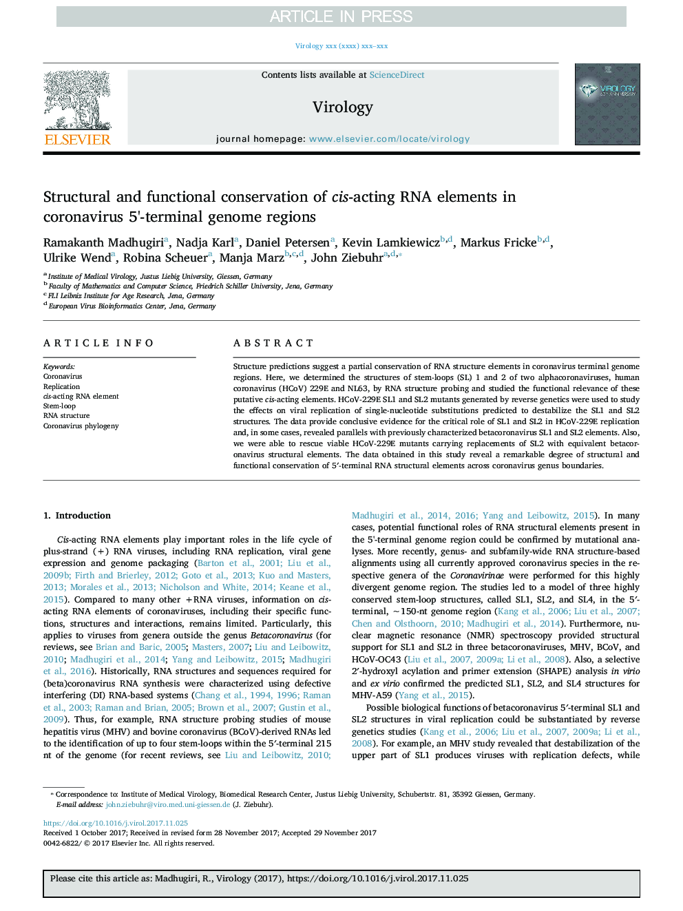 Structural and functional conservation of cis-acting RNA elements in coronavirus 5'-terminal genome regions