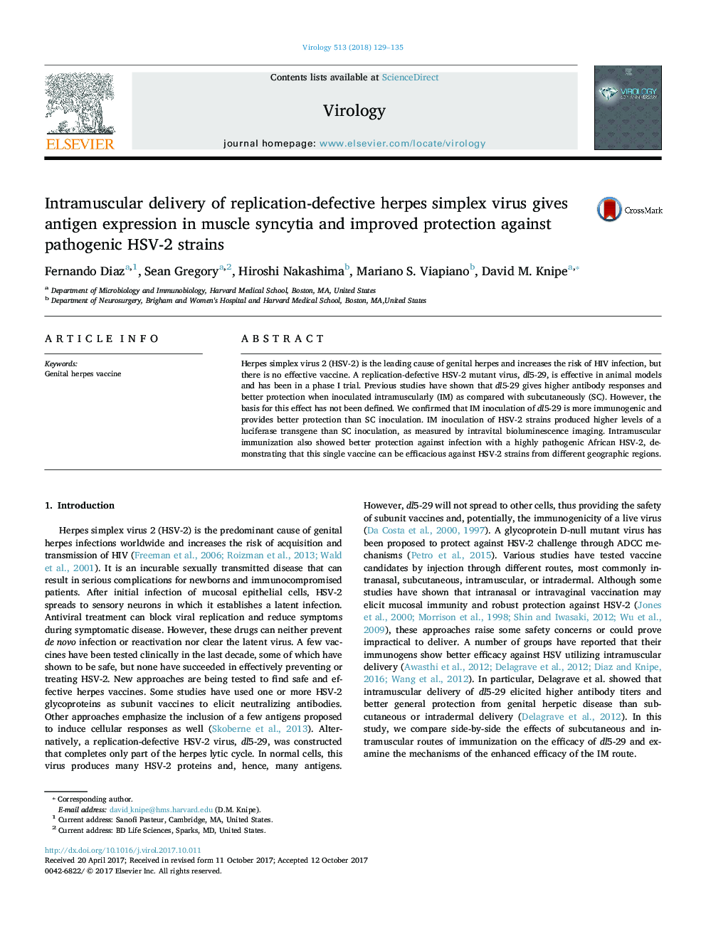 Intramuscular delivery of replication-defective herpes simplex virus gives antigen expression in muscle syncytia and improved protection against pathogenic HSV-2 strains