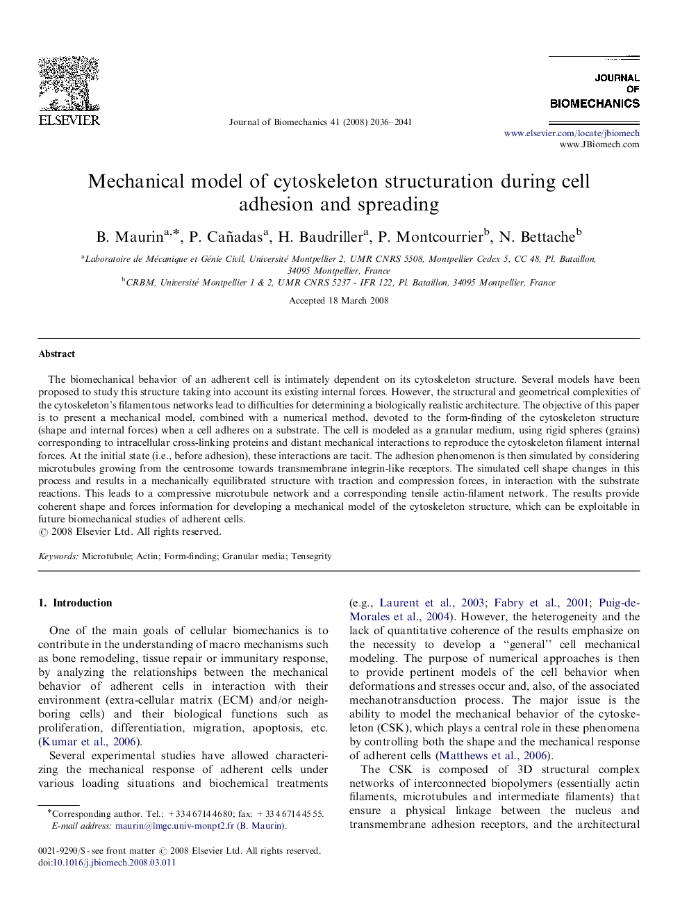 Mechanical model of cytoskeleton structuration during cell adhesion and spreading