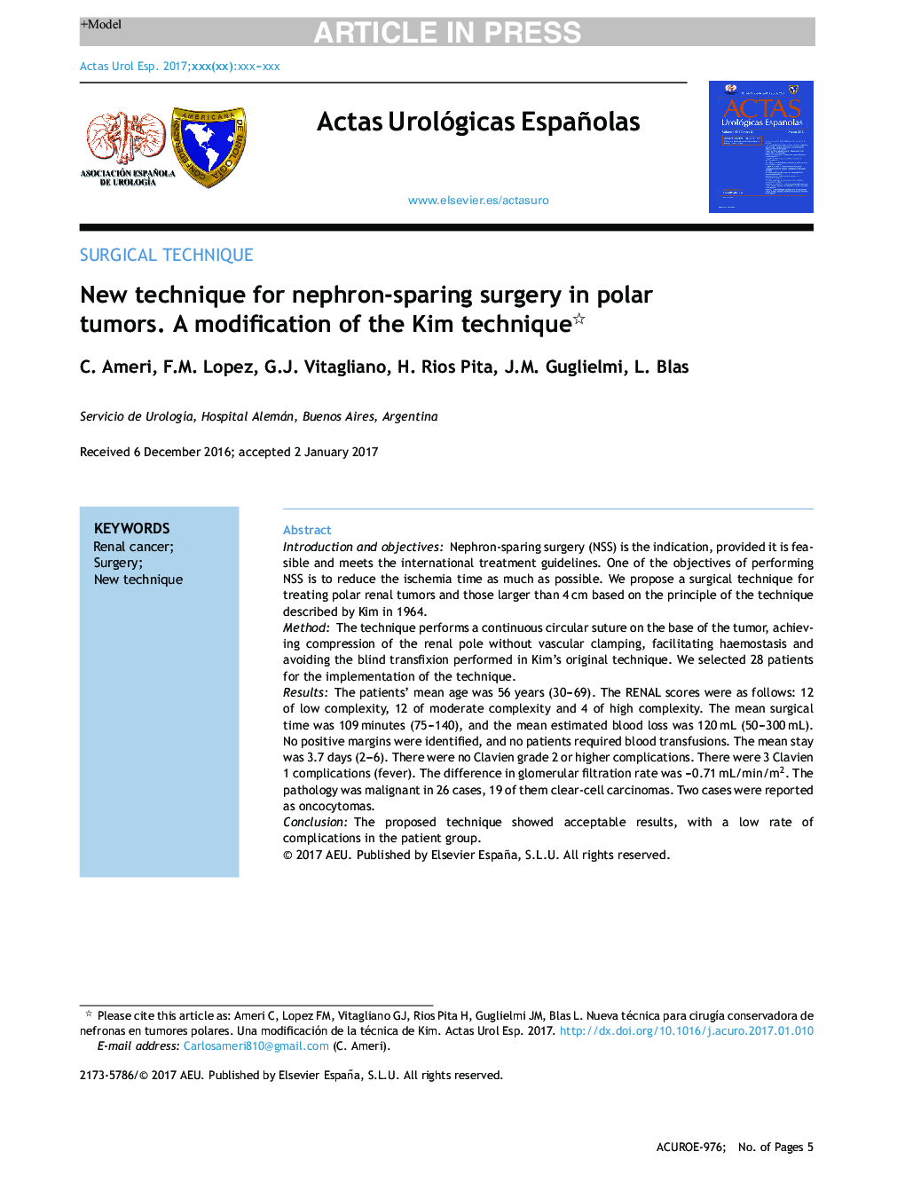 New technique for nephron-sparing surgery in polar tumors. A modification of the Kim technique