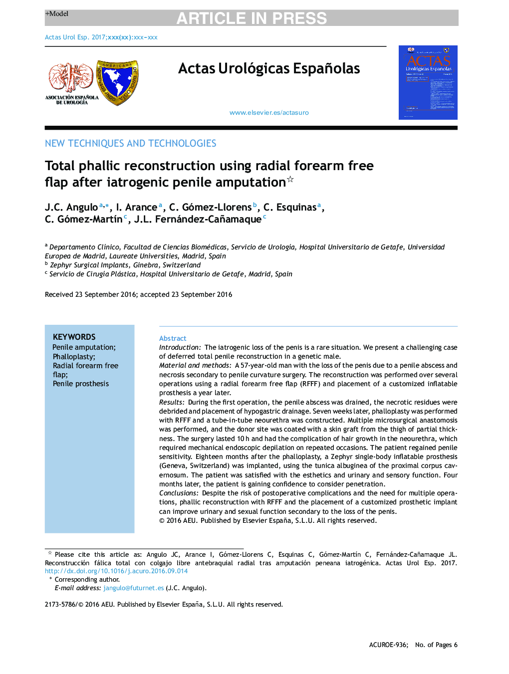 Total phallic reconstruction using radial forearm free flap after iatrogenic penile amputation